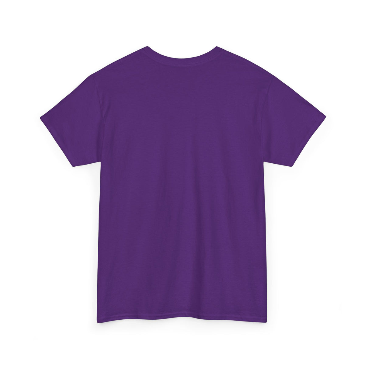 Motivational Graphic Tee — "If the Enemy Can't Destroy You He Will Distract You"